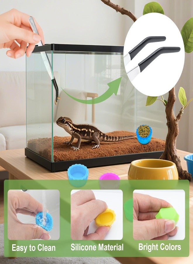 KCMOSGI 9 Pcs Crested Gecko Food and Water Bowl, Crested Gecko Food Dish with Tweezers, Gecko Tank Accessories for Geckos, Hermit Crabs, Tortoises - Image 3